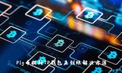 Pig币提到TP钱包未到账解决方法